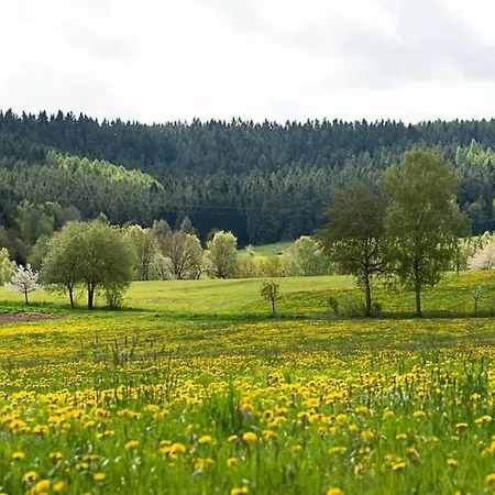 Casa vacanze Gaestehaus Kohlberg *