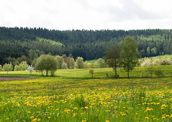 Feriehus Gaestehaus Kohlberg *